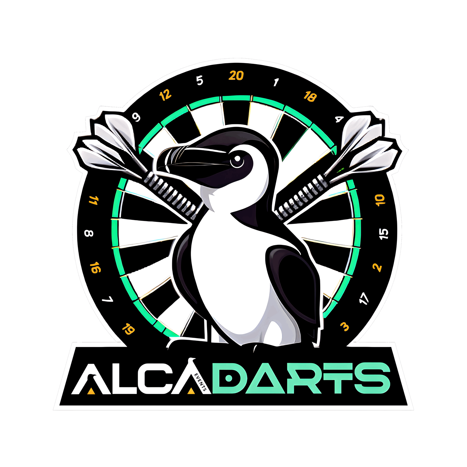 ALCA DARTS